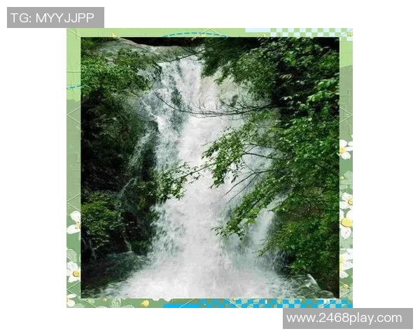 足球明星与队员的传奇故事与辉煌成就探秘之旅 足球明星与队员的传奇故事与辉煌成就探秘之旅