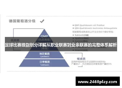 足球比赛级别划分详解从职业联赛到业余联赛的完整体系解析